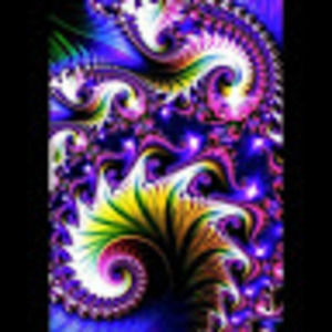 Meet your Posher, Mom